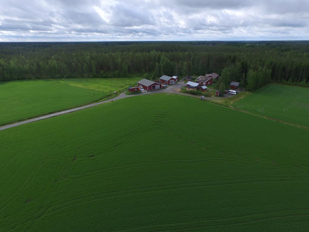 Maatilamatkailu Ilomaeki Seinäjoki Extérieur photo