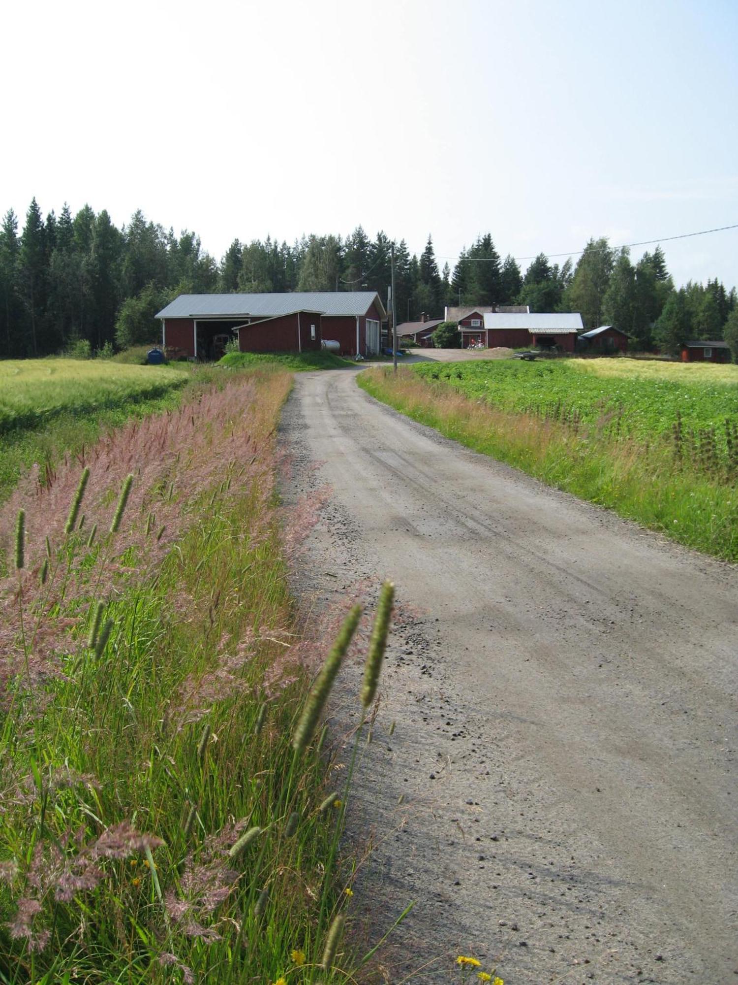 Maatilamatkailu Ilomaeki Seinäjoki Extérieur photo