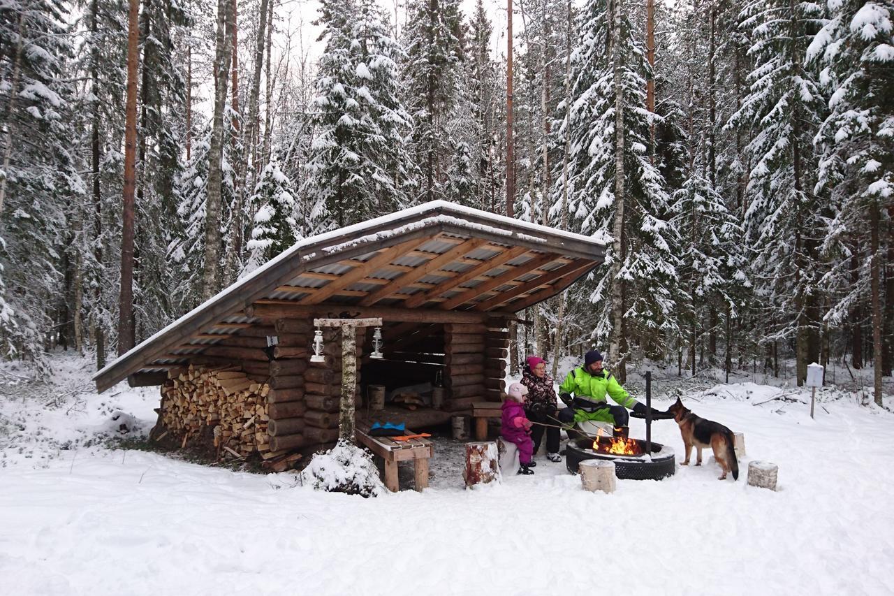 Maatilamatkailu Ilomaeki Seinäjoki Extérieur photo