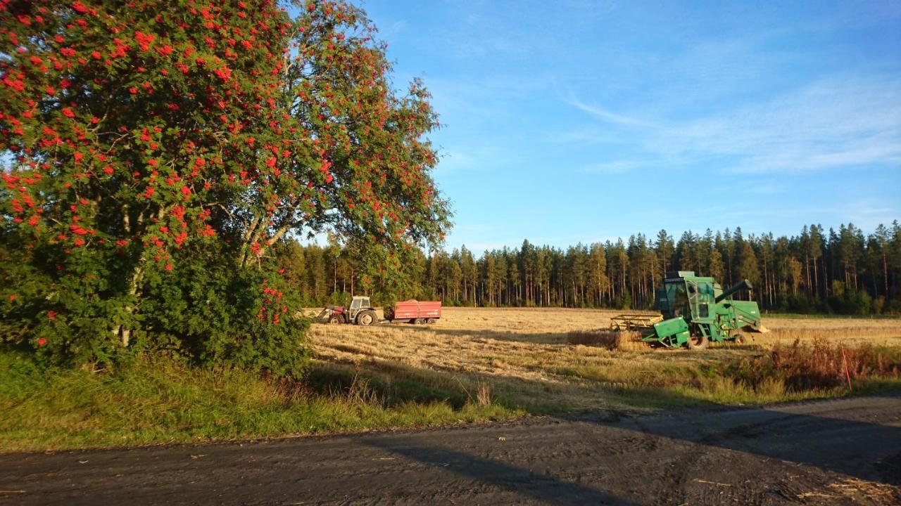 Maatilamatkailu Ilomaeki Seinäjoki Extérieur photo