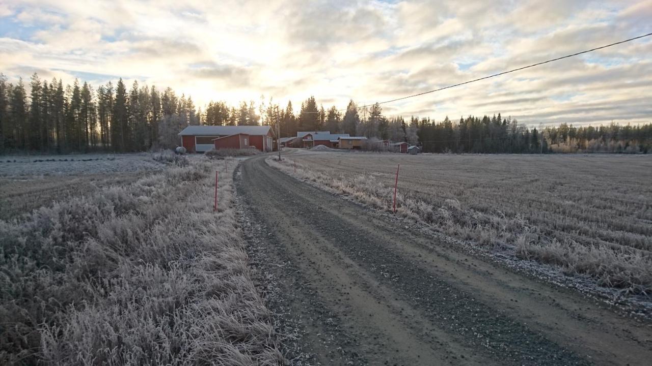 Maatilamatkailu Ilomaeki Seinäjoki Extérieur photo
