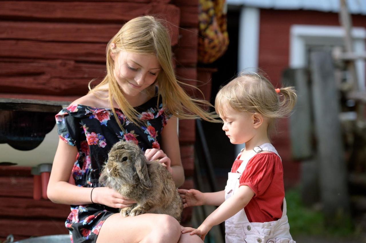 Maatilamatkailu Ilomaeki Seinäjoki Extérieur photo